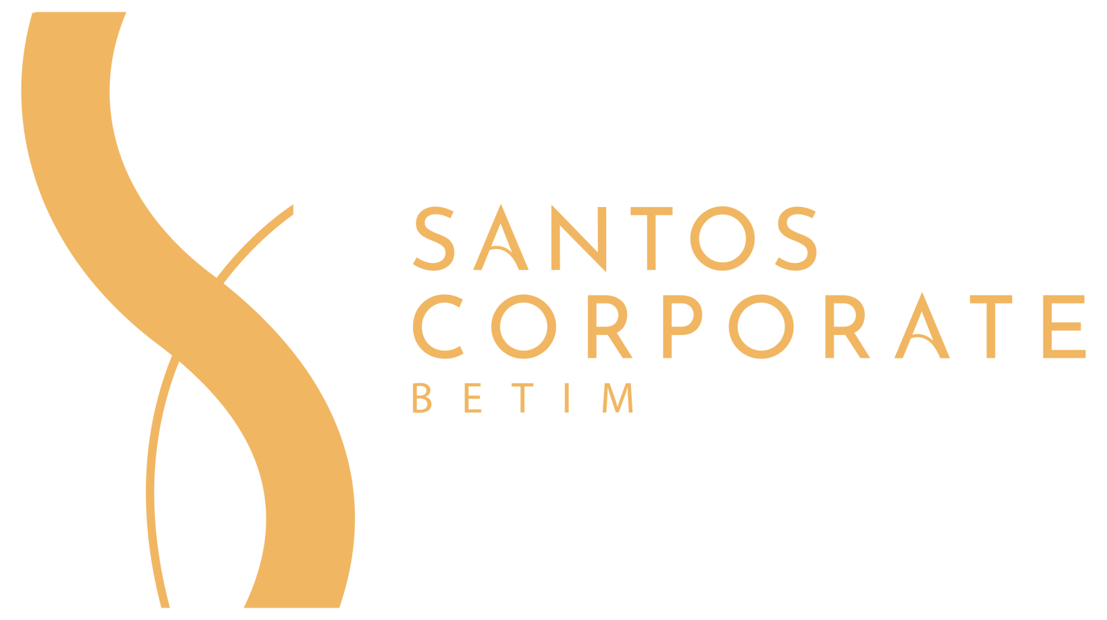 Logotipo do Santos Corporate